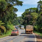 Veículos em estrada de Rondônia durante prazo de licenciamento
