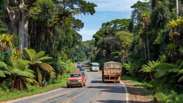 Veículos em estrada de Rondônia durante prazo de licenciamento