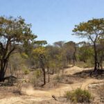 Paisagem de Vilhena com sol forte representando oscilação térmica prevista pelo INMET