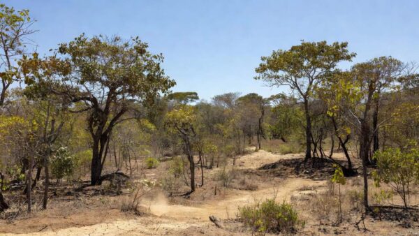 Paisagem de Vilhena com sol forte representando oscilação térmica prevista pelo INMET