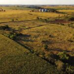 Lavouras de soja e pecuária impulsionando o agronegócio em Vilhena