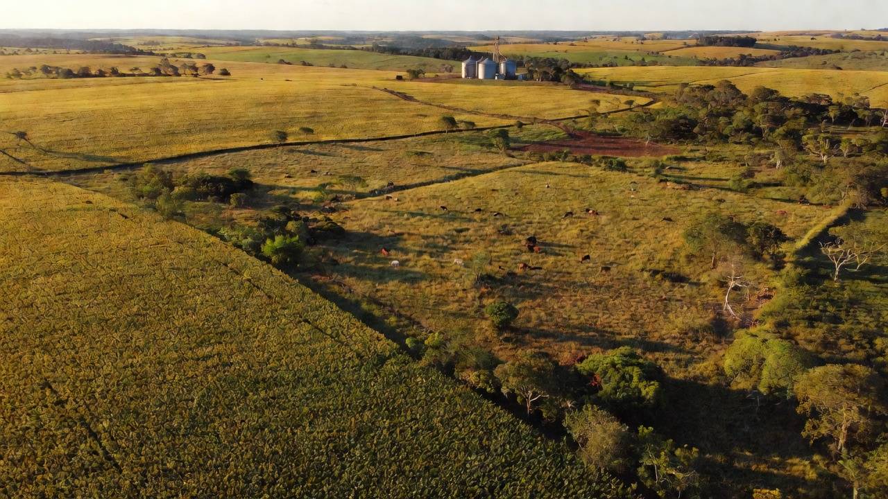 Lavouras de soja e pecuária impulsionando o agronegócio em Vilhena