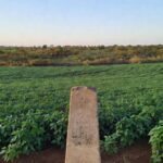 Lavouras de soja em Vilhena com marco geodésico, representando o agronegócio local