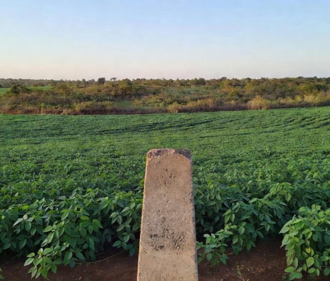 Lavouras de soja em Vilhena com marco geodésico, representando o agronegócio local