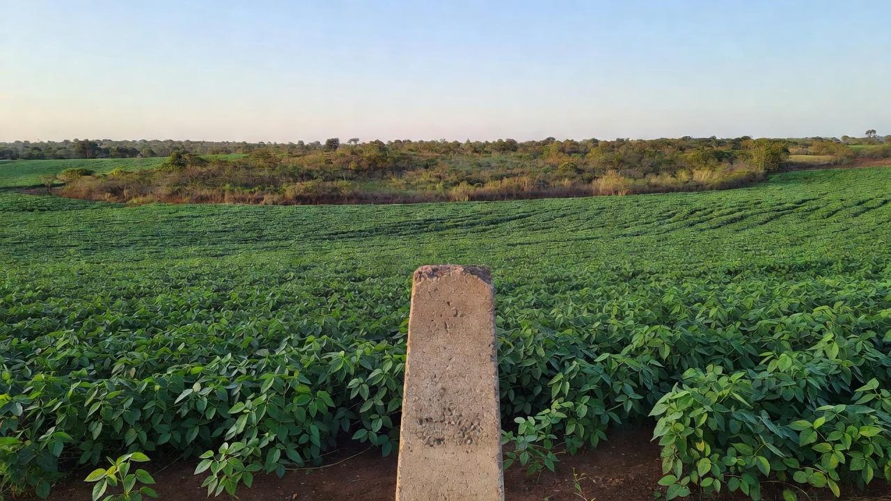 Lavouras de soja em Vilhena com marco geodésico, representando o agronegócio local