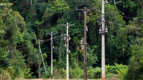 Postes e medidores de energia em área rural de Rondônia com indícios de furto