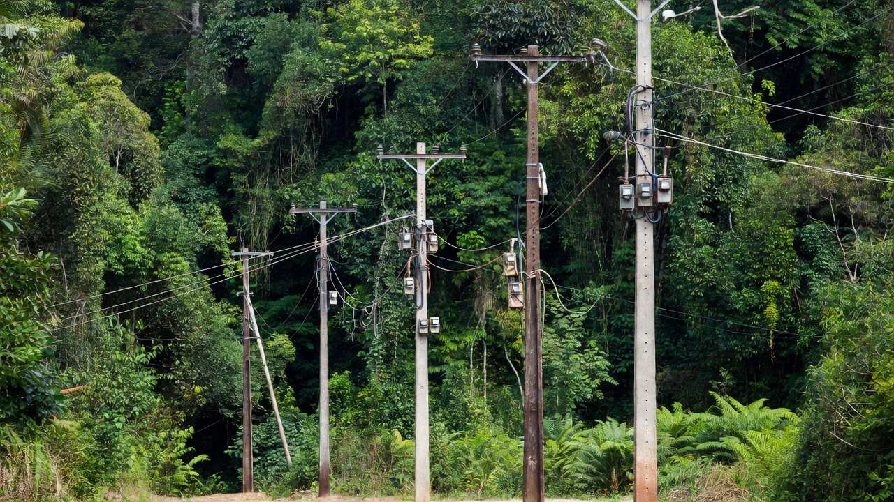 Postes e medidores de energia em área rural de Rondônia com indícios de furto