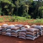 Sacos de adubo orgânico em fazenda rural de Cerejeiras