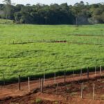 Terras agrícolas em Vilhena representando títulos definitivos para produtores rurais