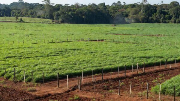 Terras agrícolas em Vilhena representando títulos definitivos para produtores rurais