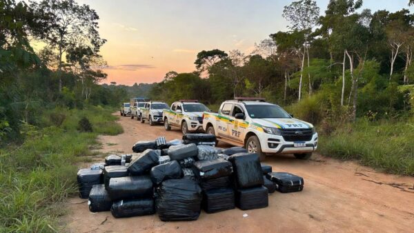 A quantidade exata das drogas apreendidas deverá ser divulgada após a pesagem oficial realizada pelas autoridades