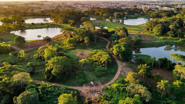 Parque Ecológico Municipal de Vilhena / Fotos: Reprodução