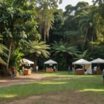Praça em Porto Velho com serviços gratuitos reunindo famílias em evento comunitário