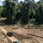 Viaturas da Polícia Federal em terra indígena de Rondônia durante operação contra extração ilegal