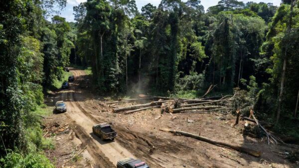 Viaturas da Polícia Federal em terra indígena de Rondônia durante operação contra extração ilegal