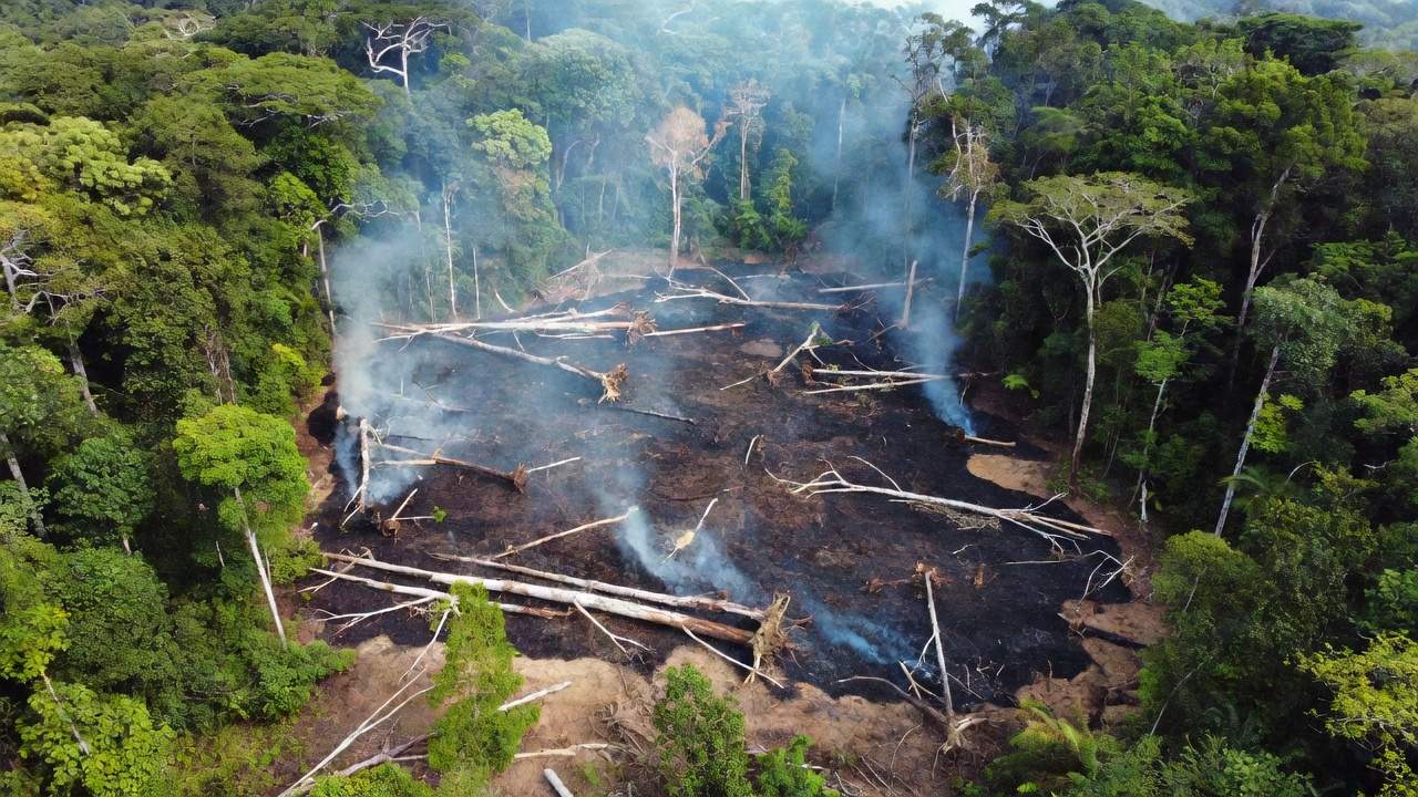 Desmatamento e queimadas ilegais na Amazônia em Candeias do Jamari