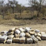 Imagens: Plantão CNP – Campo Novo dos Parecis – MT
