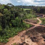 Operação da Polícia Civil contra grilagem em 1300 hectares na Amazônia de Rondônia