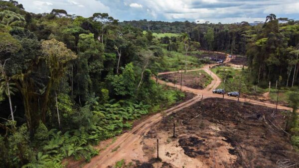 Operação da Polícia Civil contra grilagem em 1300 hectares na Amazônia de Rondônia