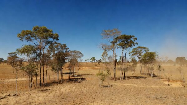 Paisagem de Rondônia com sol intenso e calor de até 37°C