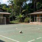 Imagem: Divulgação
