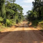 Rodovia de terra batida em área rural de Rondônia, Brasil