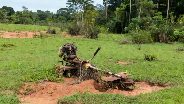 Na ocasião, o agressor utilizou o equipamento dotado de lâmina de aço para golpear o animal / Foto: Divulgação