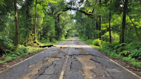 Rodovia BR-435 em Rondônia com asfalto danificado
