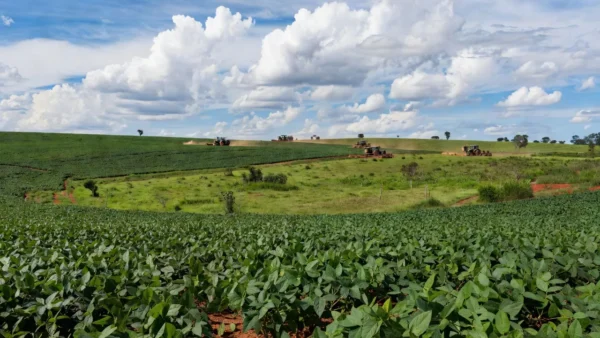 Lavouras de soja em Rondônia com máquinas agrícolas representando força do trabalho rondoniense