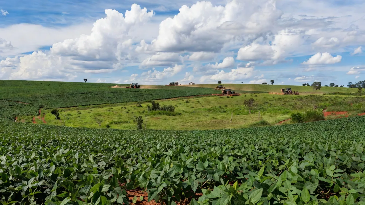 Lavouras de soja em Rondônia com máquinas agrícolas representando força do trabalho rondoniense