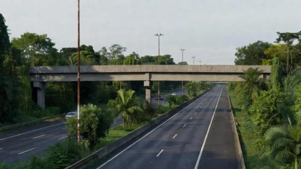 Passarela sobre BR-364 em Porto Velho, local de resgate.