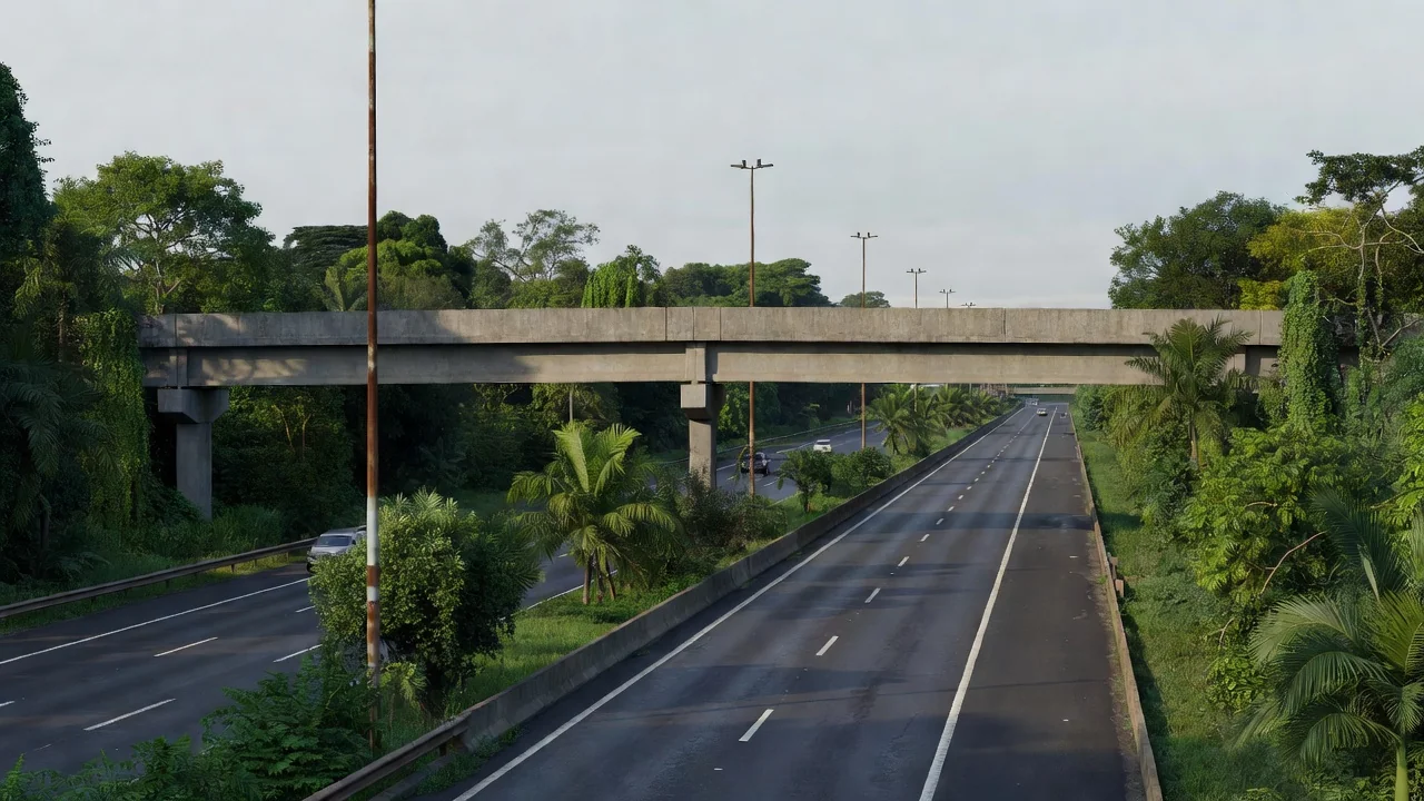 Passarela sobre BR-364 em Porto Velho, local de resgate.