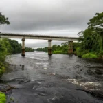 Portal de Rondônia