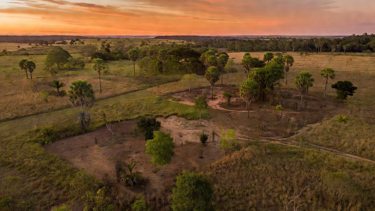 Paisagem rural de Vilhena em Rondônia representando pioneiros locais
