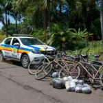 Suspeita foi conduzida à UNISP, onde as plantas, os veículos, o dinheiro e as drogas foram apresentados à autoridade policial de plantão