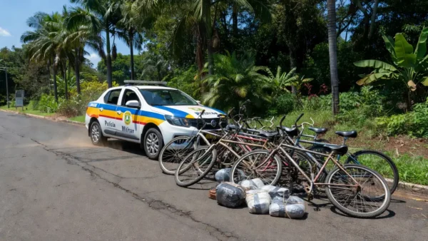 Suspeita foi conduzida à UNISP, onde as plantas, os veículos, o dinheiro e as drogas foram apresentados à autoridade policial de plantão
