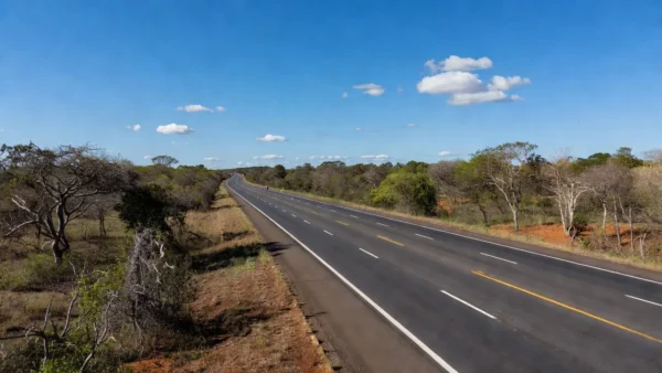 Rodovia federal estratégica brasileira com vegetação ao redor