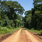 Estrada rural no interior de Rondônia com vegetação amazônica