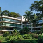 Hospital em Porto Velho, Rondônia, cenário de mediação entre farmacêuticos e hospitais