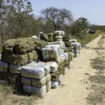 Fardos de maconha apreendidos em Alto Paraíso, Goiás