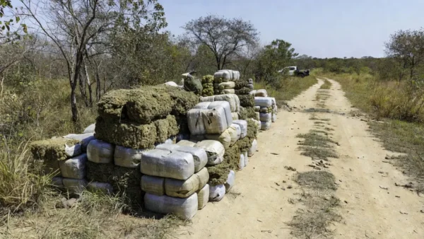 Fardos de maconha apreendidos em Alto Paraíso, Goiás