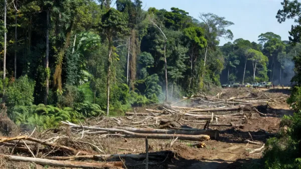 Área desmatada na Amazônia durante operação da Polícia Federal em Rondônia