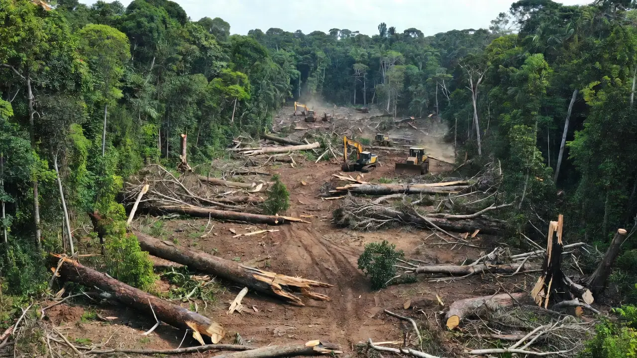 Desmatamento ilegal de 1,1 mil hectares na Amazônia investigado pela Polícia Federal