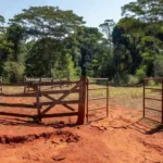 Área rural em Rondônia com cerca danificada indicando invasão no campo