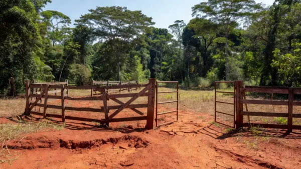 Área rural em Rondônia com cerca danificada indicando invasão no campo