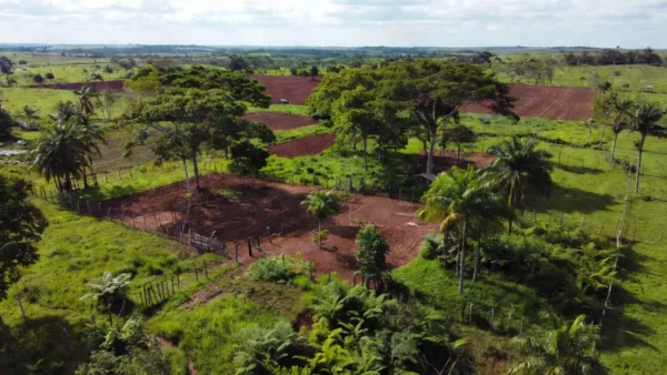 Chacaras rurais em Vilhena, Rondônia, sobre regularização fundiária