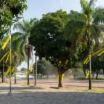 Praça em Vilhena com laços amarelos para Setembro Amarelo