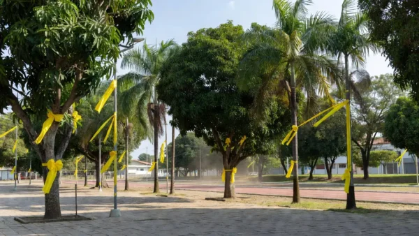 Praça em Vilhena com laços amarelos para Setembro Amarelo