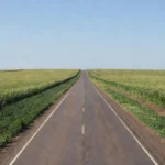 Rodovia da Rota Agro Central entre Cuiabá e Vilhena em área agrícola