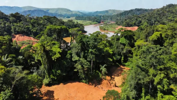 Paisagem da Amazônia em Rondônia com reservas de terras raras atraindo investidores estrangeiros